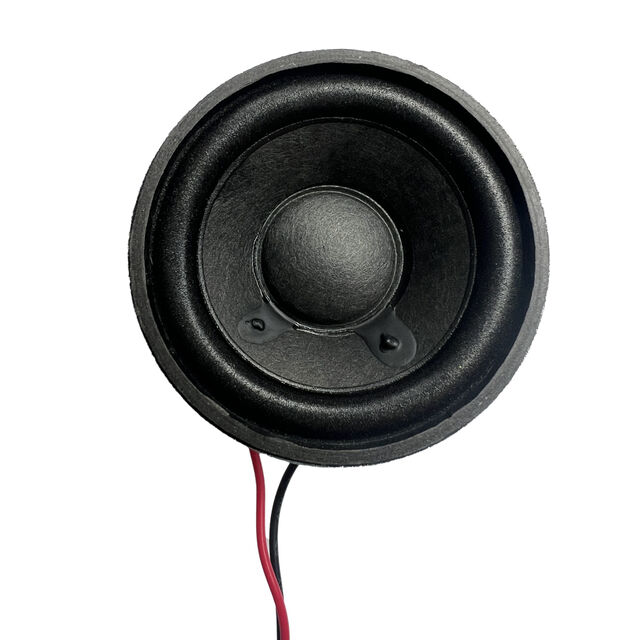 Loudspeaker 4 Ohms
