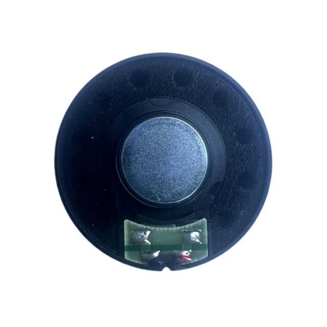 Loudspeaker 33 Ohms