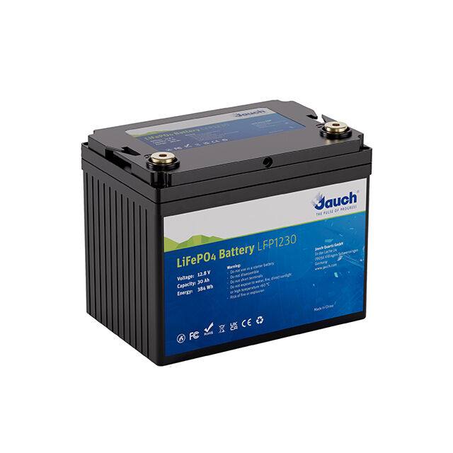 LIFEPO4 12.8V 30AH