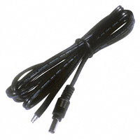 CBL ASSY 2.5MM PLG-CBL FLAT 6'