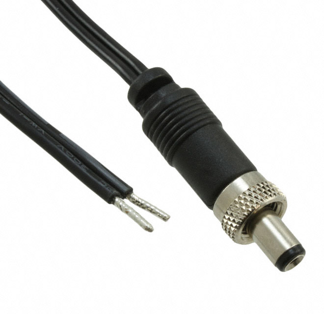 CBL ASSY 2.1MM PLG-CBL FLAT 6'