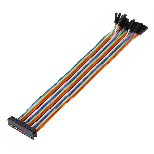 CBL ASSY 26P SKT-TIP SKT 0.66'