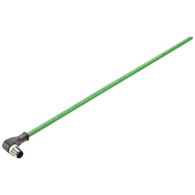 CBL 4POS RCPT RA TO WIRE 32.8'