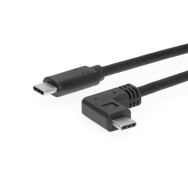 1FT. USB 3.2 GEN 2 TYPE-C TO RIG