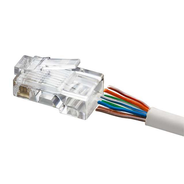 CAT 5/6 CONNECTOR, MALE, 50 PACK
