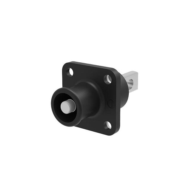 Female, Receptacle (Socket)