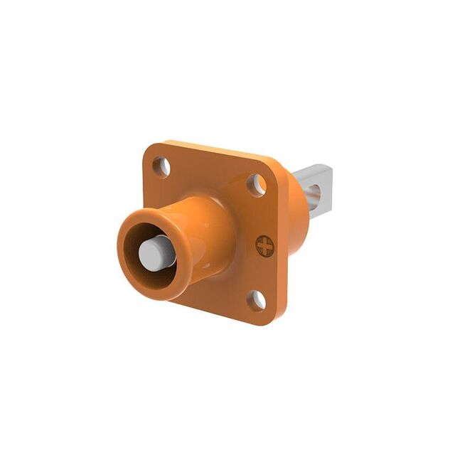 Female, Receptacle (Socket)