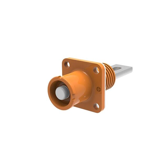 Female, Receptacle (Socket)