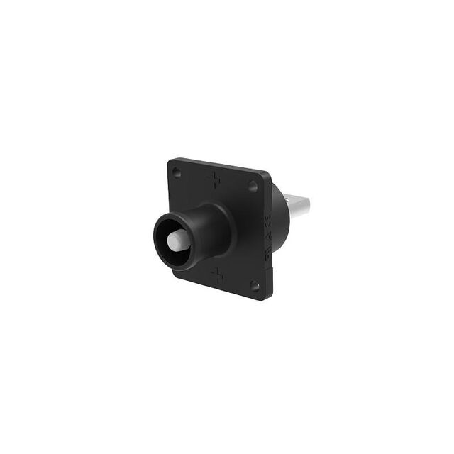 Female, Receptacle (Socket)