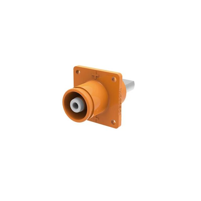 Female, Receptacle (Socket)