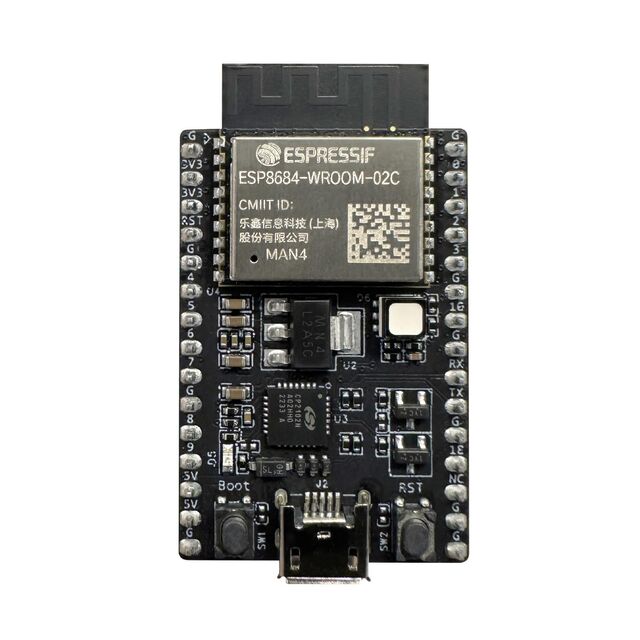 DEV BOARD