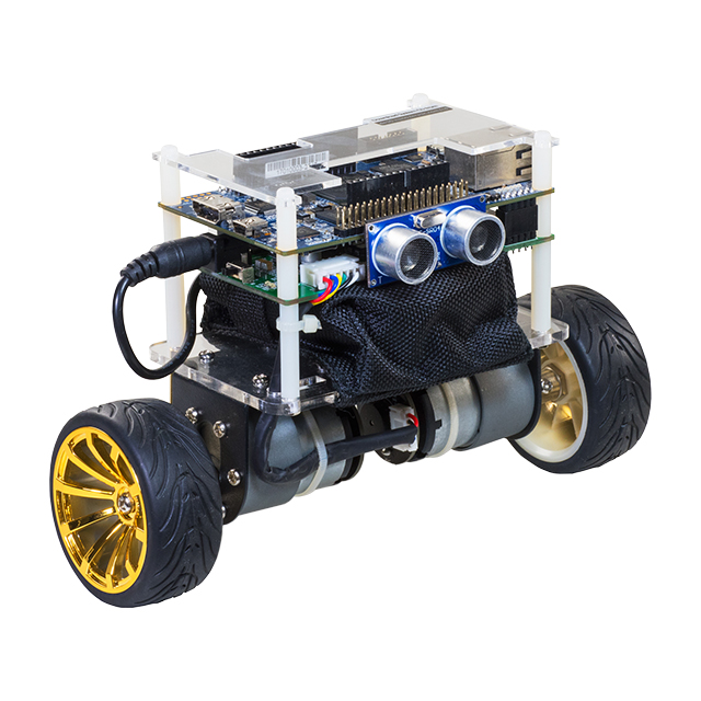 DE-10 NANO SELF-BALANCING ROBOT