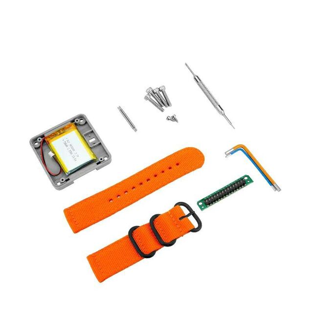 WATCH DEVELOPMENT KIT W/ ORANGE
