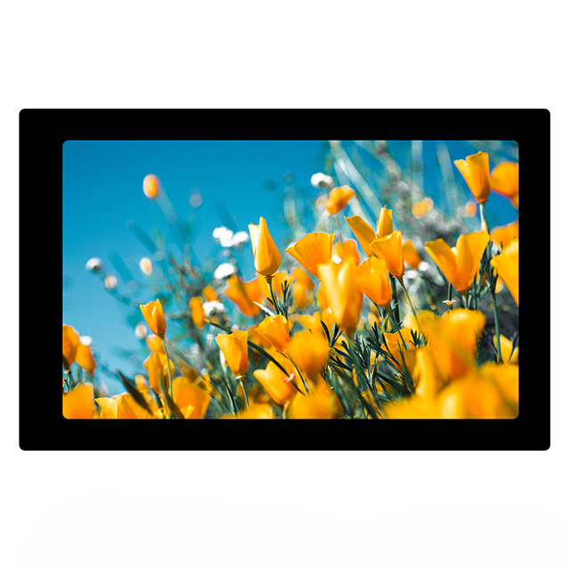 GRAPHIC DISPLAY TFT RGB 10.1"