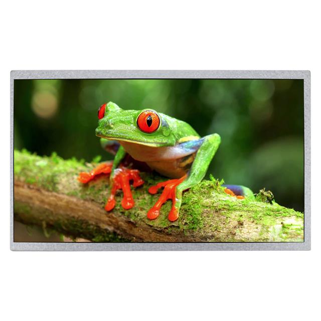 GRAPHIC DISPLAY TFT RGB 10.1"