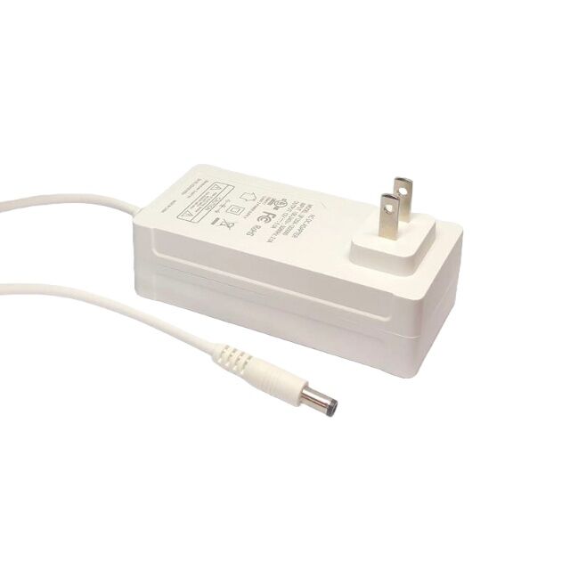 AC/DC WM ADAPTER 12V 60W CLASS 2