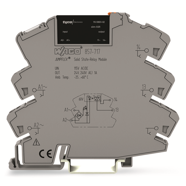 SSR RELAY SPST-NO 2A 24-240V