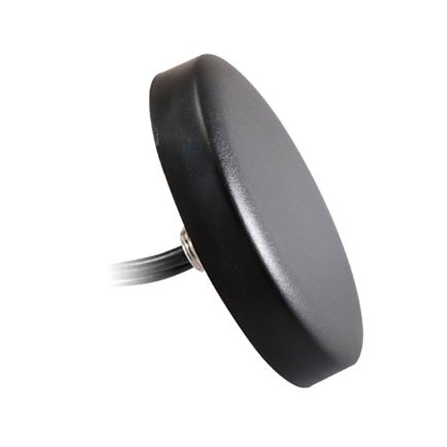 2 COMBO ANTENNA SCREW Mount