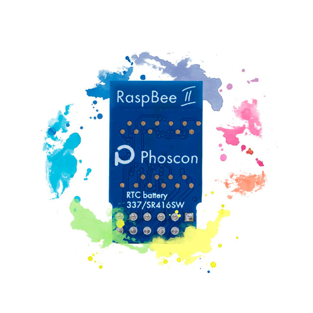 RASPBEE II