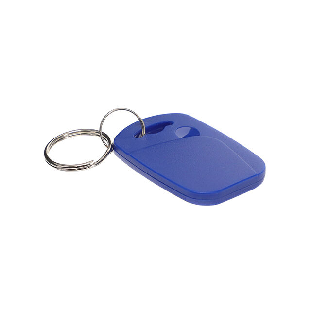RFID125-KEY (RFID125-KEY) | IC Online