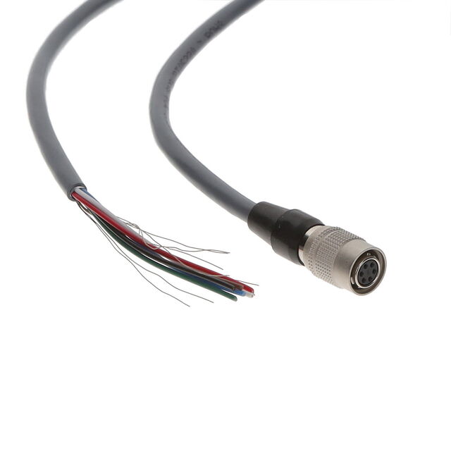 BFS/BFS 1.0M GPIO CABLE W/CONN.