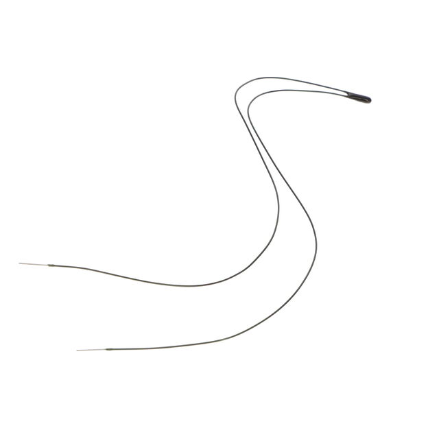 THERMISTORS RADIAL LEADED TYPE R