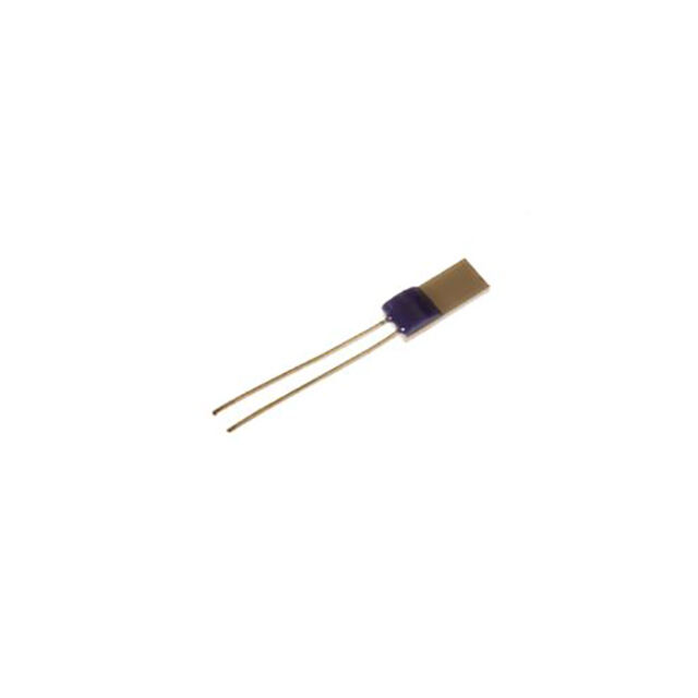 PT1000 THINFILM CLASS B 2X10MM