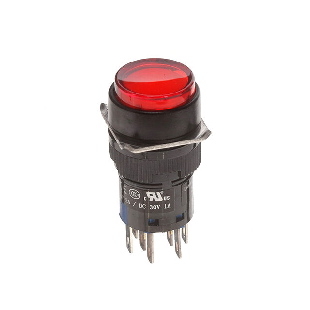 16MM/R/LIGHT24V/MAINTAINED/2NO2N