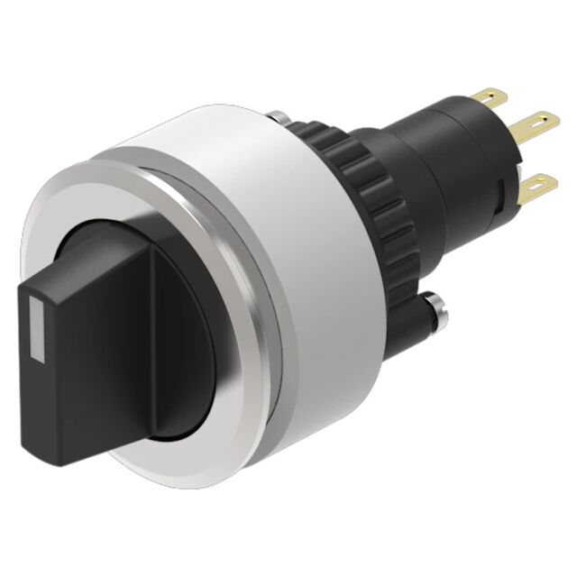 SELECTORSWITCH2POSITIONS, REST -