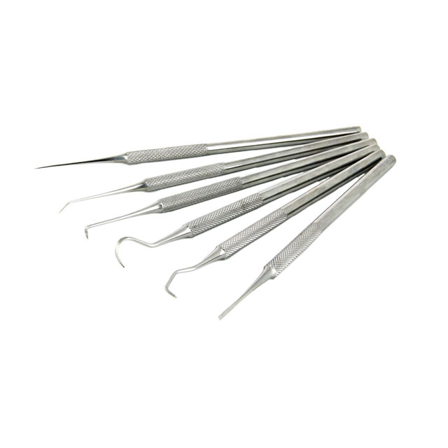 6-PC PROBE STAINLESS STEEL KIT