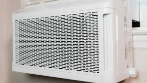 Unlocking AC Power The Science of DC Inverters