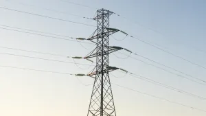Beyond the Box Unpacking the Capacitor Bank's True Role