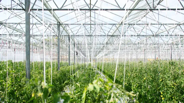 Why Your 2025 Garden Needs an Arduino Soil Moisture Sensor